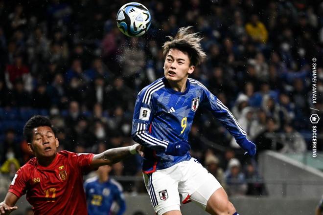 预期与展望 预期与展望