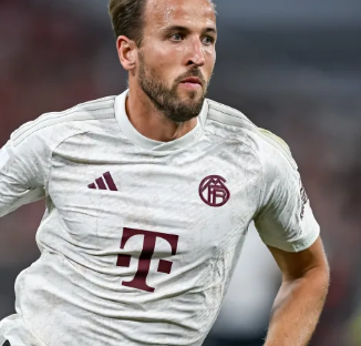 不设止损 不设止损